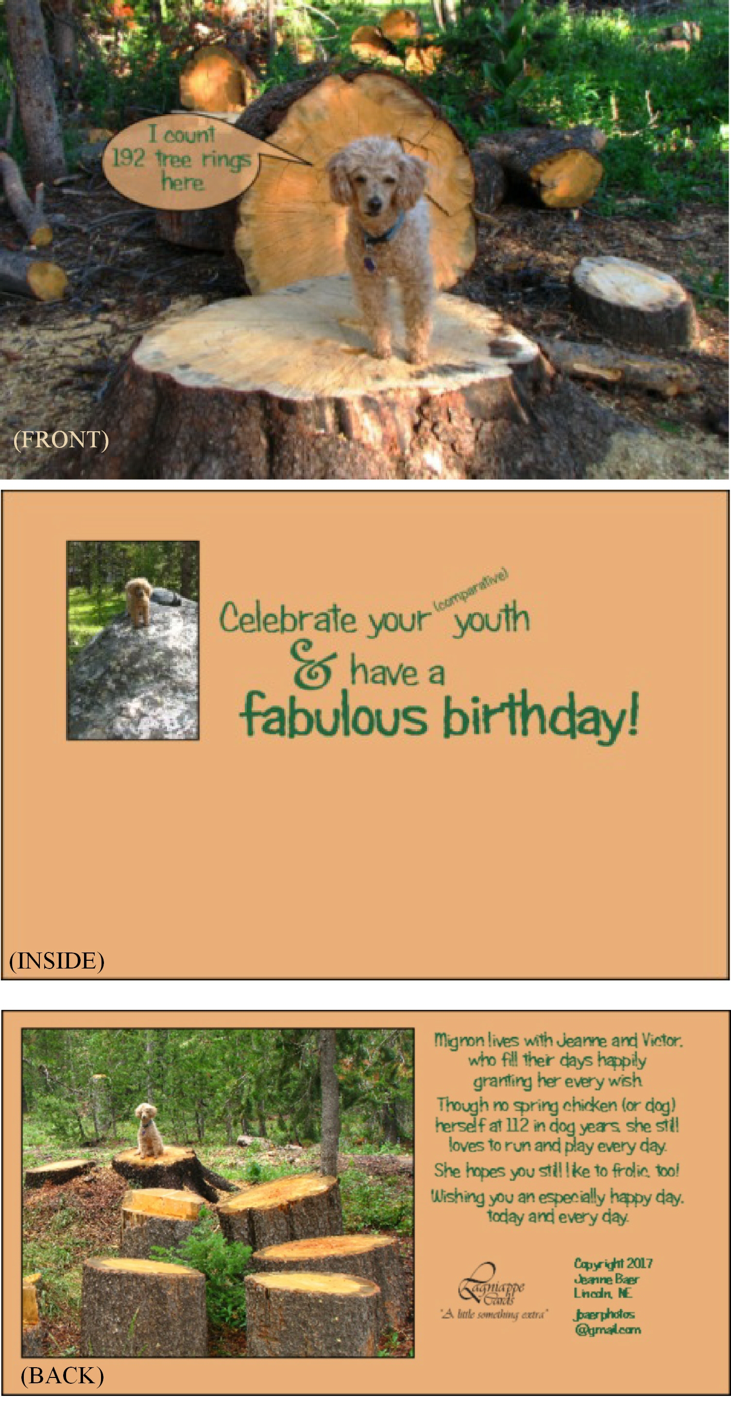 Birthday card featuring Mignon