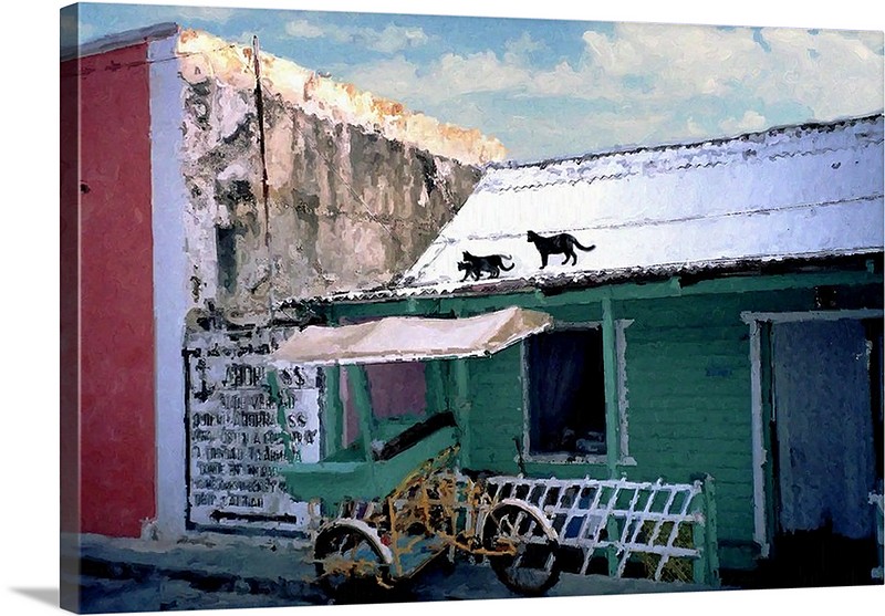 Mother cat and kittens walking along rooftop